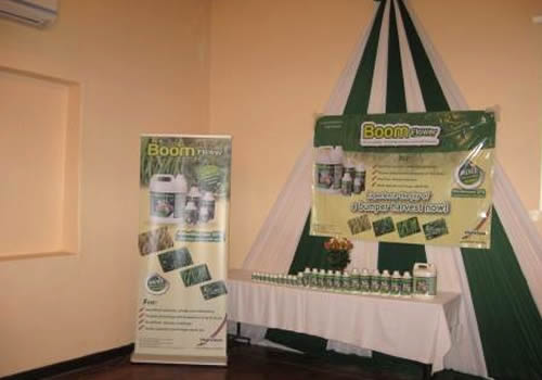 Boom Flower launches in Kenya