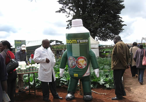 Boom Flower launches in Kenya