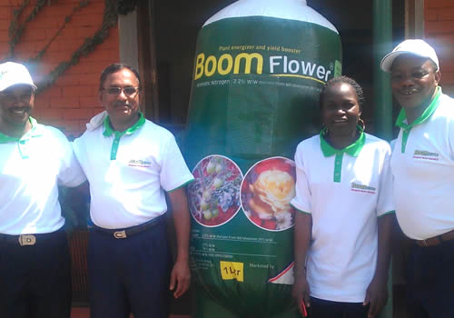 Boom Flower launches in Kenya