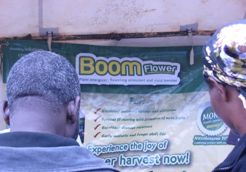 Boom Flower launches in Kenya