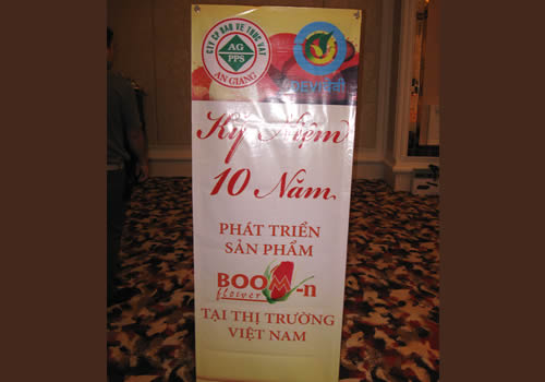 10 years celebrations of Boom Flower in Vietnam